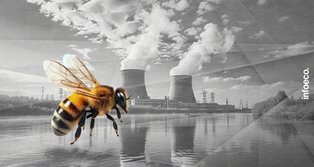 Le nucléaire stoppé par... des abeilles ? image de l'article